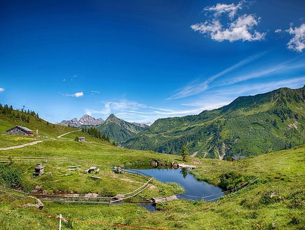 Pension Enzian Sommer 2
