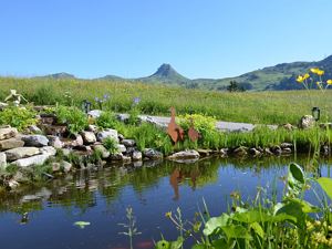Teich vor dem Haus