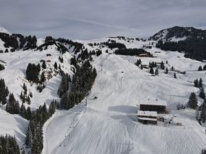 Damülser Skipiste von oben (c) Manuela Domig - Dam