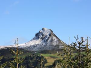 IMG_3950