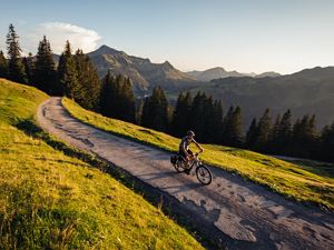 Trekkingbiker