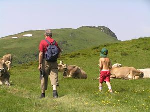Faschina im Sommer