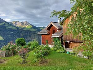 Garten hinterm Haus