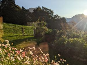 Garten hinterm Haus