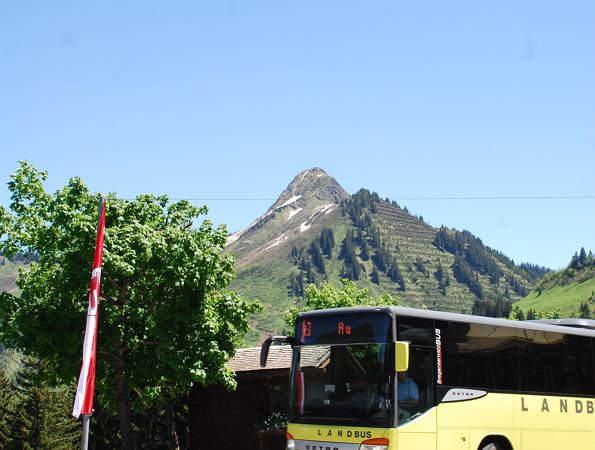 Bus