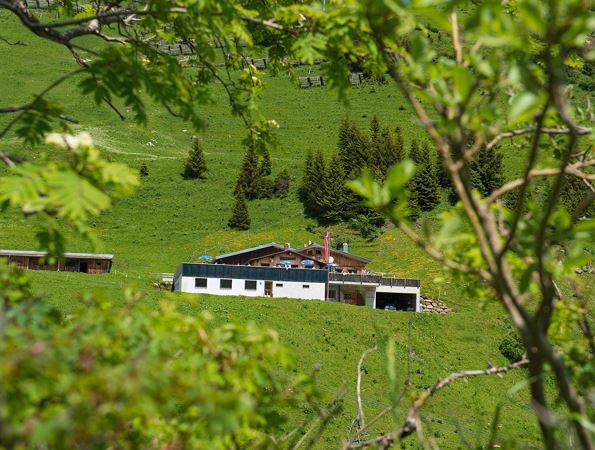 Franz Josef Hütte Außenansicht Sommer