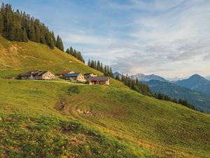 Alpe Türtsch
