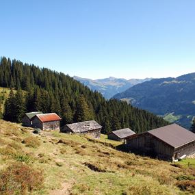Damüls | Zur Brandalpe